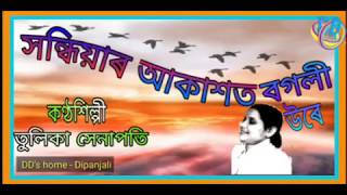 Sandhiyar Aakashot Bogoli Ure  Assamese Best Song 