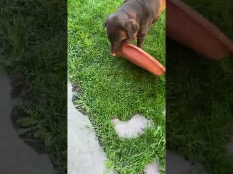 Questo è! 🤪🤪🤪😂😂😂😂