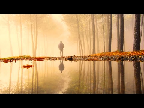 Sem fim/Ânima - Zé Renato e Renato Braz