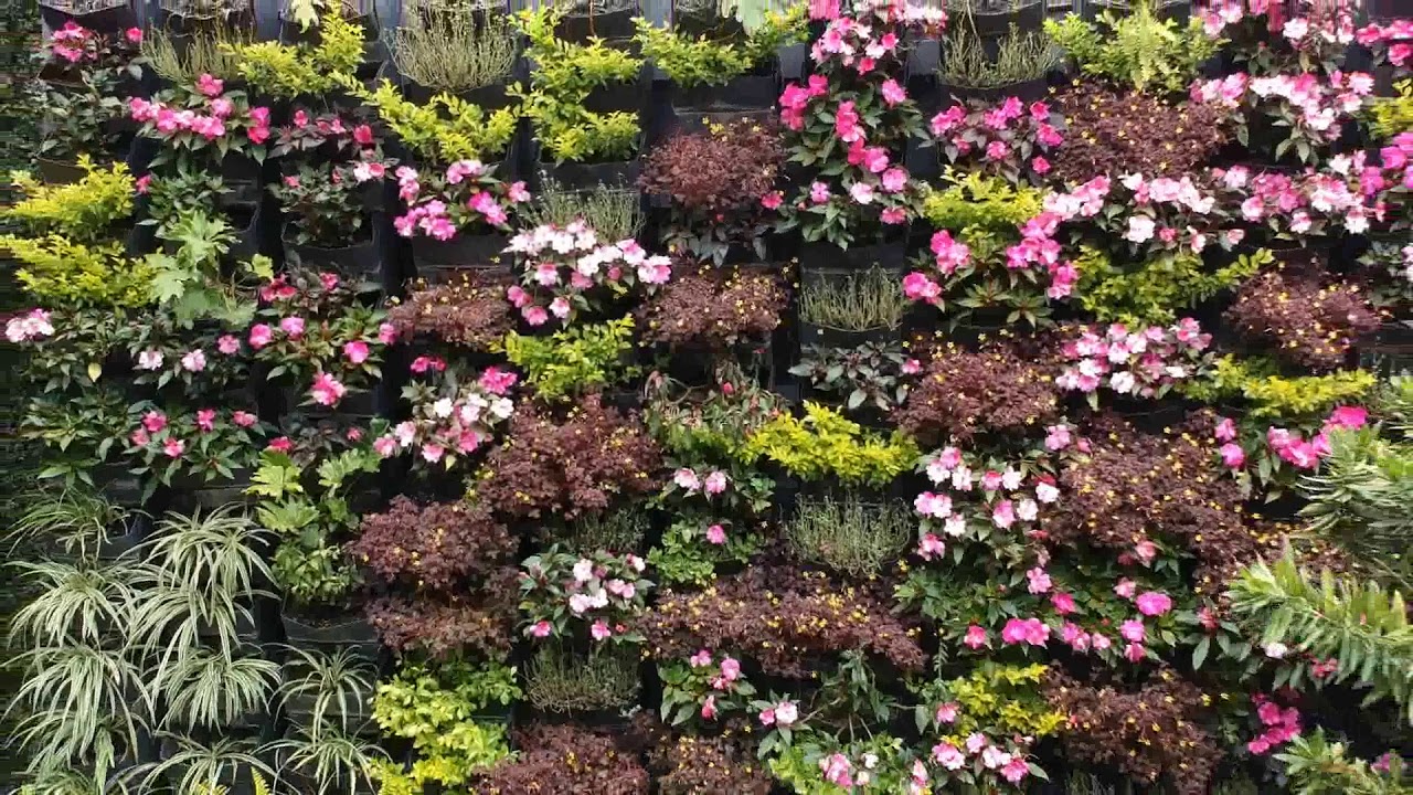 Vídeo de la empresa ALUX DE MÉXICO GESTORES AMBIENTALES