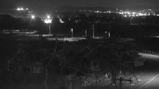 California · Mare Island Osprey live stream