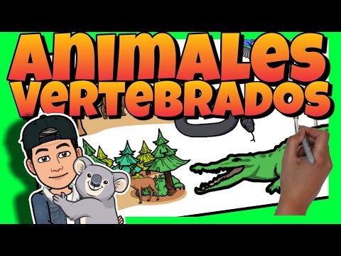 🦁 ANIMALES VERTEBRADOS para NIÑOS de PRIMARIA | Mamíferos, aves, reptiles, peces y anfibios
