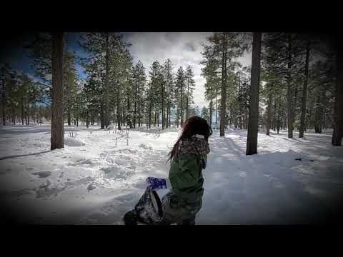 Elizarraraz Snow Day 2020