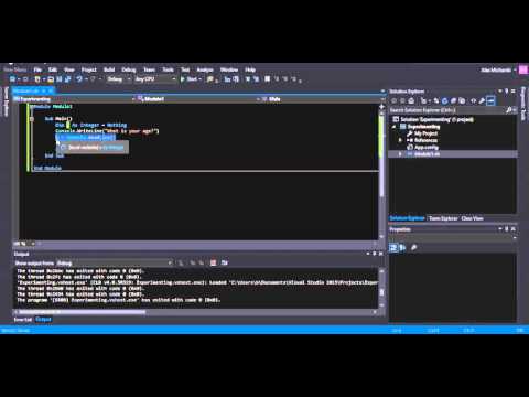 7 Visual Basic User Input