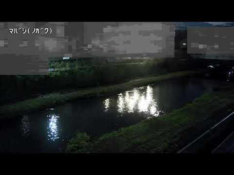 野川 馬橋ライブカメラ（調布市国領）のライブ配信を再生のプレビュー画像