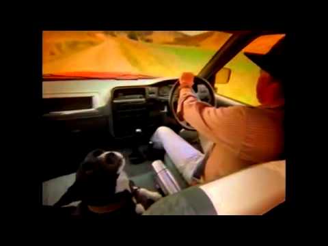 One Tonne Rodeo   Holden   1998