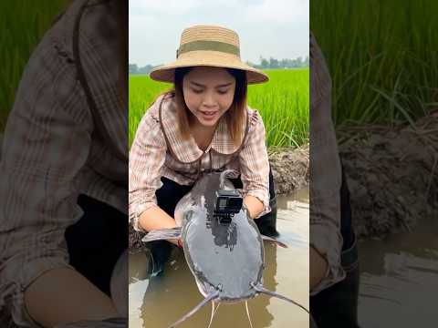 EP.10 ติดกล้องส่องสัตว์ วันนี้ติดให้ปลาดุก ไปท่องโลกของมันกันเลย #ติดกล้อง #ส่องสัตว์ #ดันขึ้นฟีดที