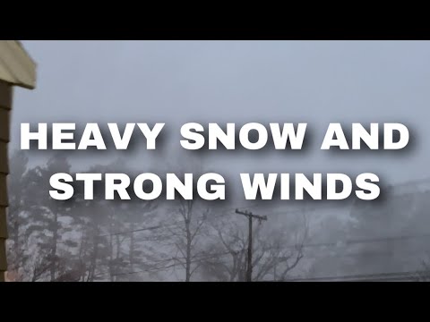 Intense Snow Squall Hits Walpole, MA 2.19.22