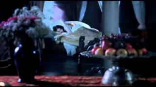 Die Geier kreisen schon   Merlin