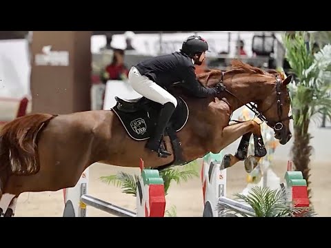 Diva DXB (Ogano Sitte × Calvaro Z) fantastic jumping in the CSI2* Grand Prix of Butheeb!! 🕊️💎🪽