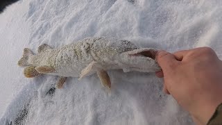 Ссылка