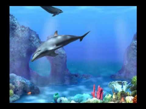 El Mar, Ray Conniff   Instrumentales De Oro