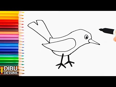 Comment dessiner un Oiseau | Dessin de Oiseau très facile