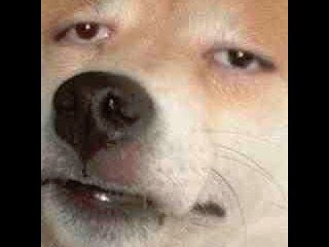 Ouh là là | j00mla/Crosyph/Beeftipsy | Widowmaker montage