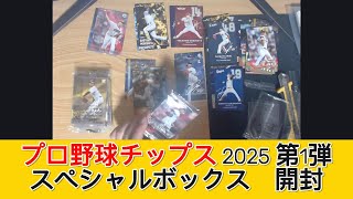 カルビー プロ野球チップス2025 第1弾 スペシャルボックス　開封 - みづの廃信