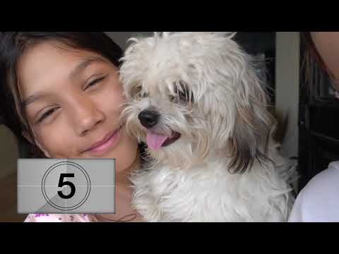 download lagu mp3 mp4 Forever Diamonds, download lagu Forever Diamonds gratis, unduh video klip Forever Diamonds