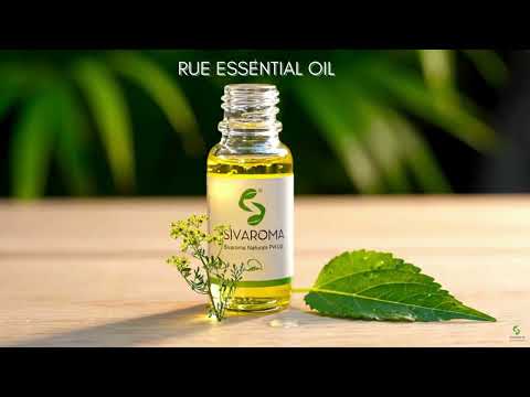 Rue Essential Oil