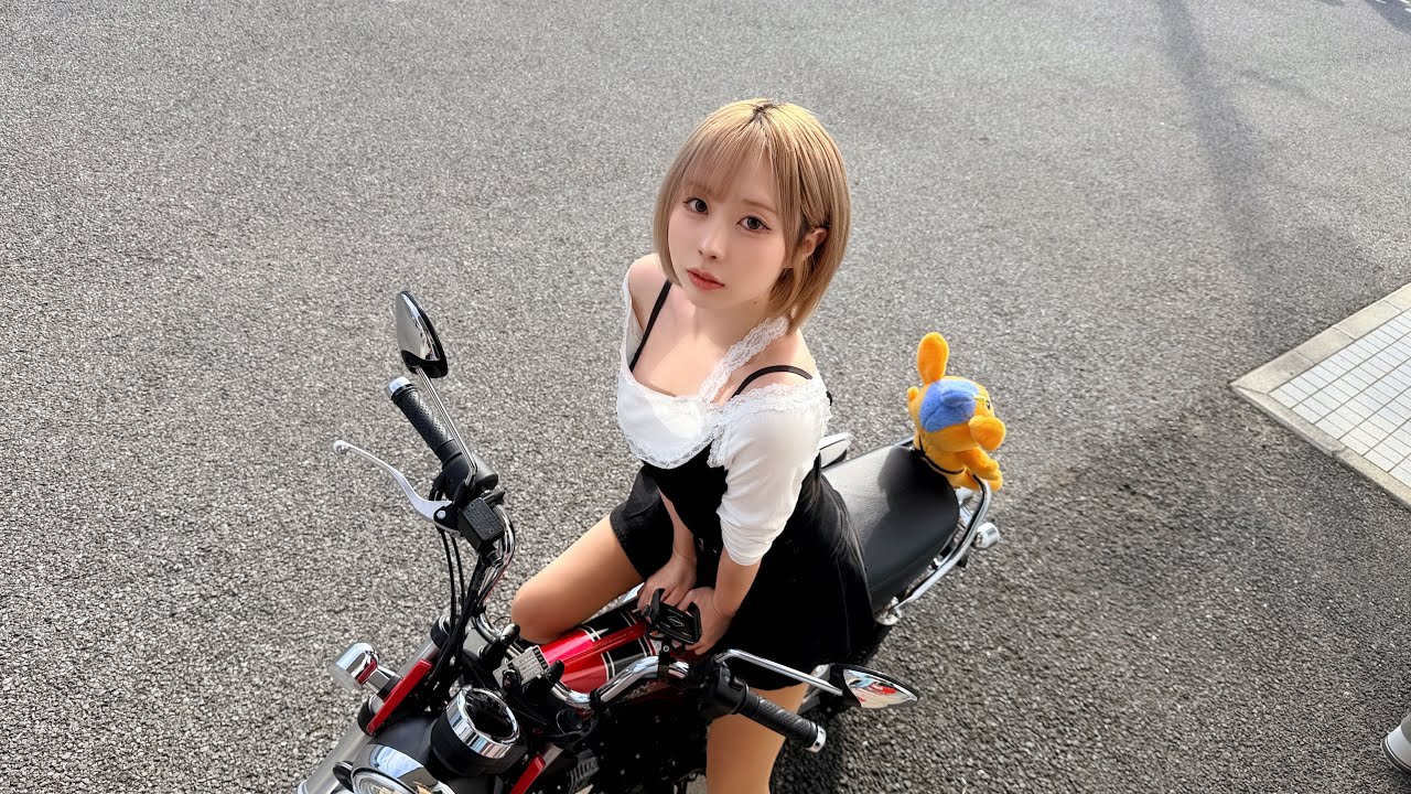 DAXのわんたん飼いたいの！1匹で良いから！🐕