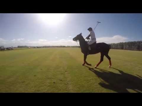 Torneo de Polo Vendimia del Valle de Uco - 2015