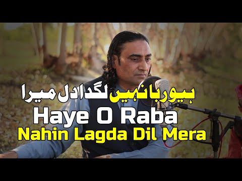 HAI O RABBA NAIYON LAGDA DIL MERA - Naseem Ali Siddiqui | Reshma | Live Performance