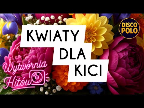 Kwiaty Dla Kici 🌹 | Disco Polo | Wytwórnia Hitów 