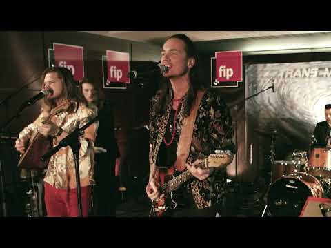 Komodo "Bengali Crown"