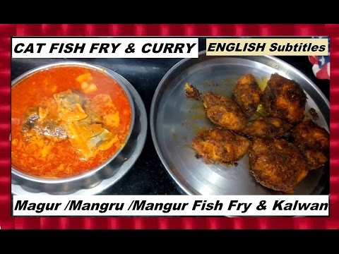 CAT FISH / Magur /Mangru / Mangur fish Fry & Curry | Marathi Recipe | ENGLISH Subtitles Video