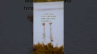 Download lagu Kenapa Cobaan Hidup ini tak kunjung Usai #shorts #selfreminder #zonakataislami #kontenislami mp3