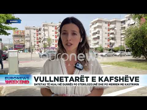 Në durrës qëntë e pastresë, po sterilozohen dhe kastrohen, nga... Gazetarja Kloida Gjuzi jep detajet