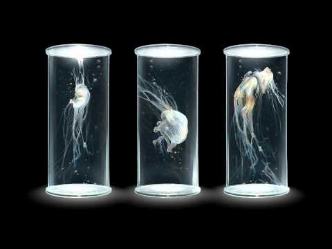 Alldegrees - Alive [Dubstep]