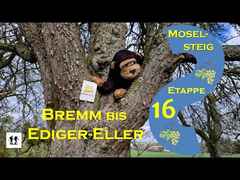 Moselsteig, Etappe 16: Von Bremm bis Ediger-Eller