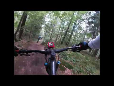 Nürnberg Giant Reign 1