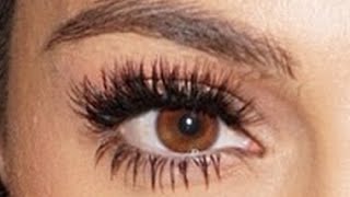 How To Apply False Lashes | Eye Makeup Tutorial | Teni Panosian