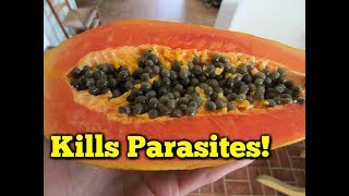 Foods that Kill Parasites - Papaya Seeds