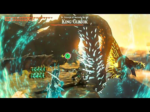 When lore accurate Link fights King Gleeok in Zelda TotK...