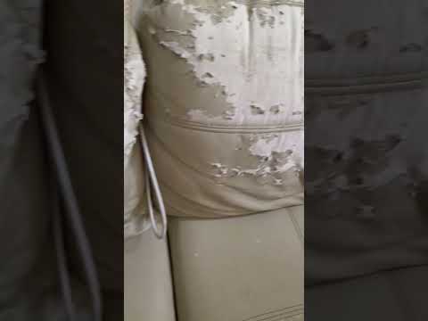 Rochester Furniture - The quality of a Couch I bought at Rochester woodmead - Image 3