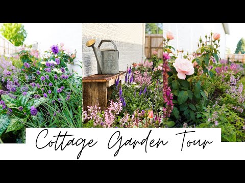 Cottage Garden Tour | Cottage Garden Perennials 2022