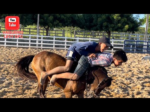 COWBOY LEVY AND RYAN FELL OFF THE ROBINHO PONY