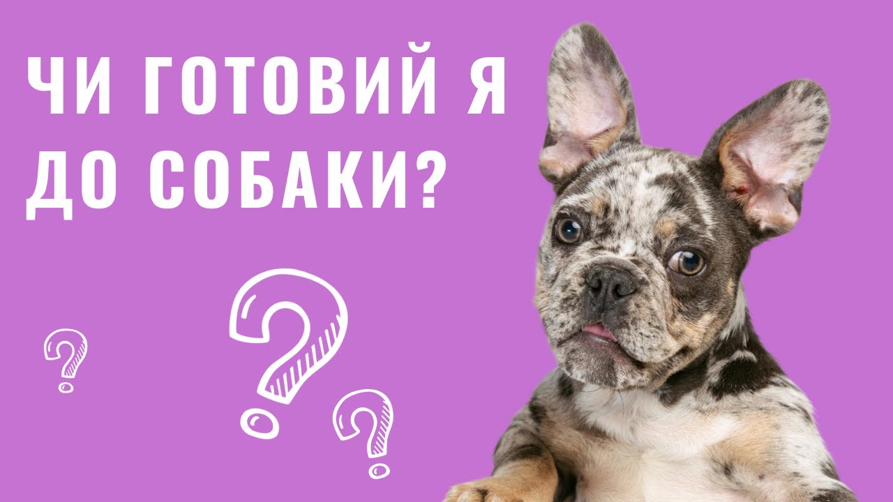 YouTube video preview