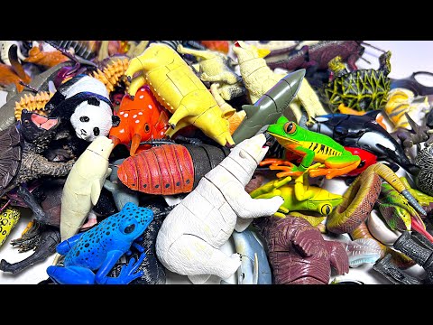 3D Sea Animals & Wild Animals Puzzles - Orca, Shark, Whale, Manta Ray, Beluga Whale, Dolphin
