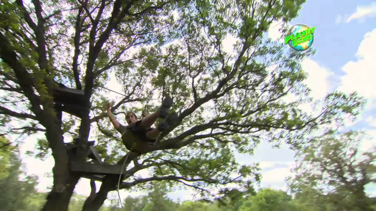 Planet Echo Teaser 2014