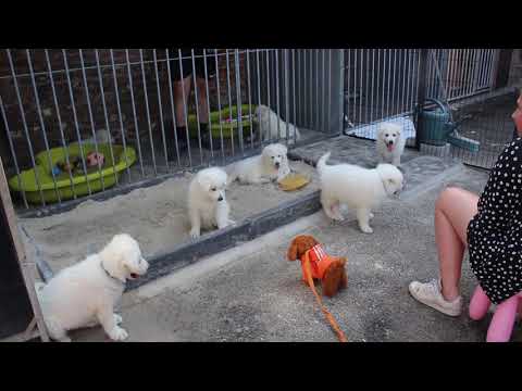 Onze laatste week bij mama