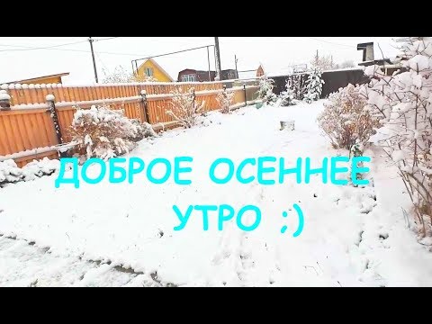 VLOG: ВЫ КАКИЕ ТО МУТНЫЕ! 18.10.19
