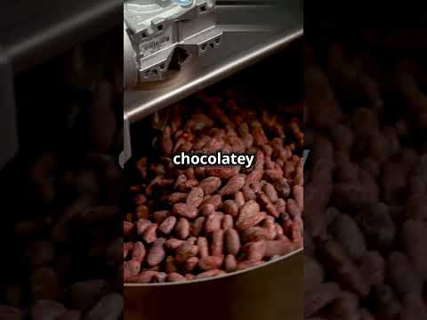 From Bean to Bar: How Chocolate is Made! 🍫🍫#shorts #shortsfeed #chocolate