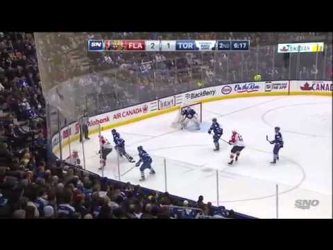 Florida Panthers Vs Toronto Maple Leafs. February 17th 2015. (HD)