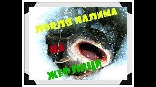 Рыбалка усть уда