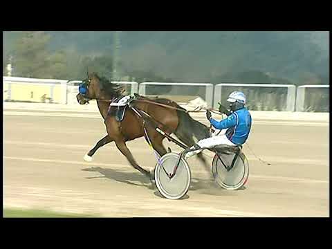 Napoli Trotto 26/020/2021 - 2ª corsa