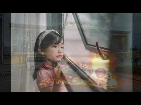 Hoor jij de vogels nog fluiten