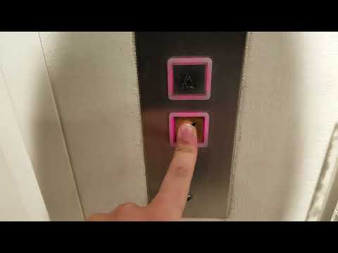 The only working lantern on Montgomery Hydraulic Elevator | The Bon/Macy's Bell Square | Bellevue WA