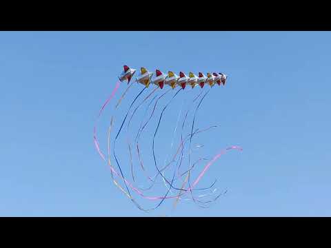 @mannmeinhaimojmks Stunt Kite / Train Kite